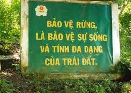 Xung đột quyền sử dụng đất lâm nghiệp – điểm nghẽn trong bảo vệ rừng. (03/8/2016)